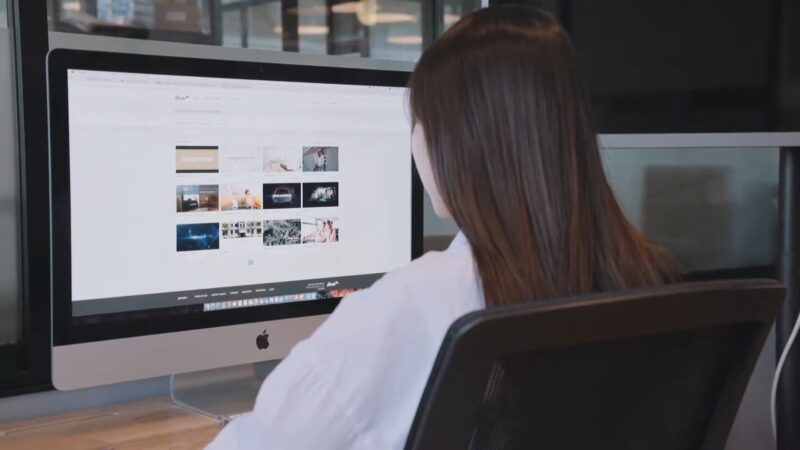 Woman In Front Of The Computer